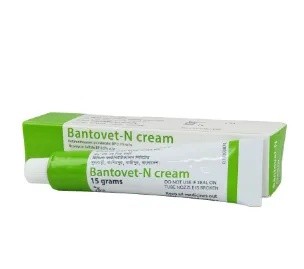 BETNOVA CREAM 15 GM