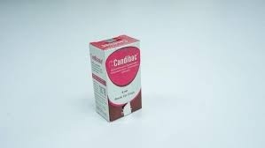 Candibac 0.025%+5%+1%+1.73% (Ear Drop)
