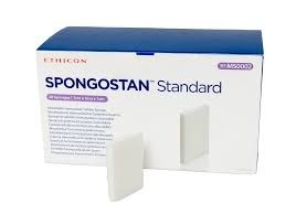 SPONGOSTAN SRANDARD