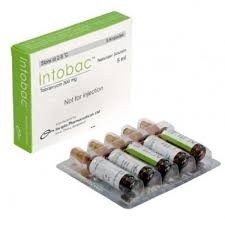 Intobac 300 mg/5 ml (Respirator Solution)