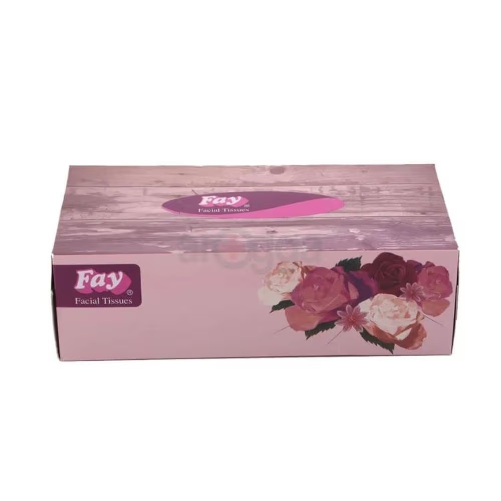 FAY FSCIAL TISSUES 100 PEC